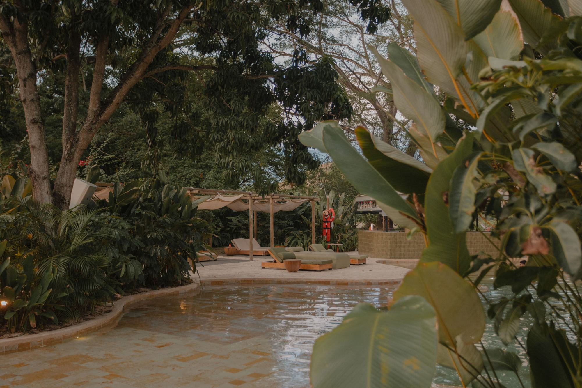 La piscina laguna rodeada de selva